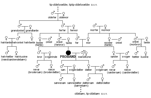 Danske familienavne